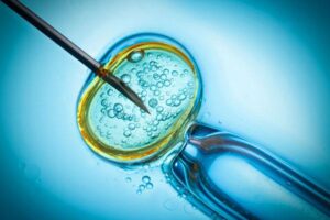 fighting over custody of frozen embryos in divorce