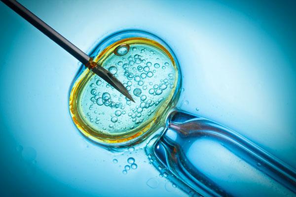 A Look at Embryos in Divorce